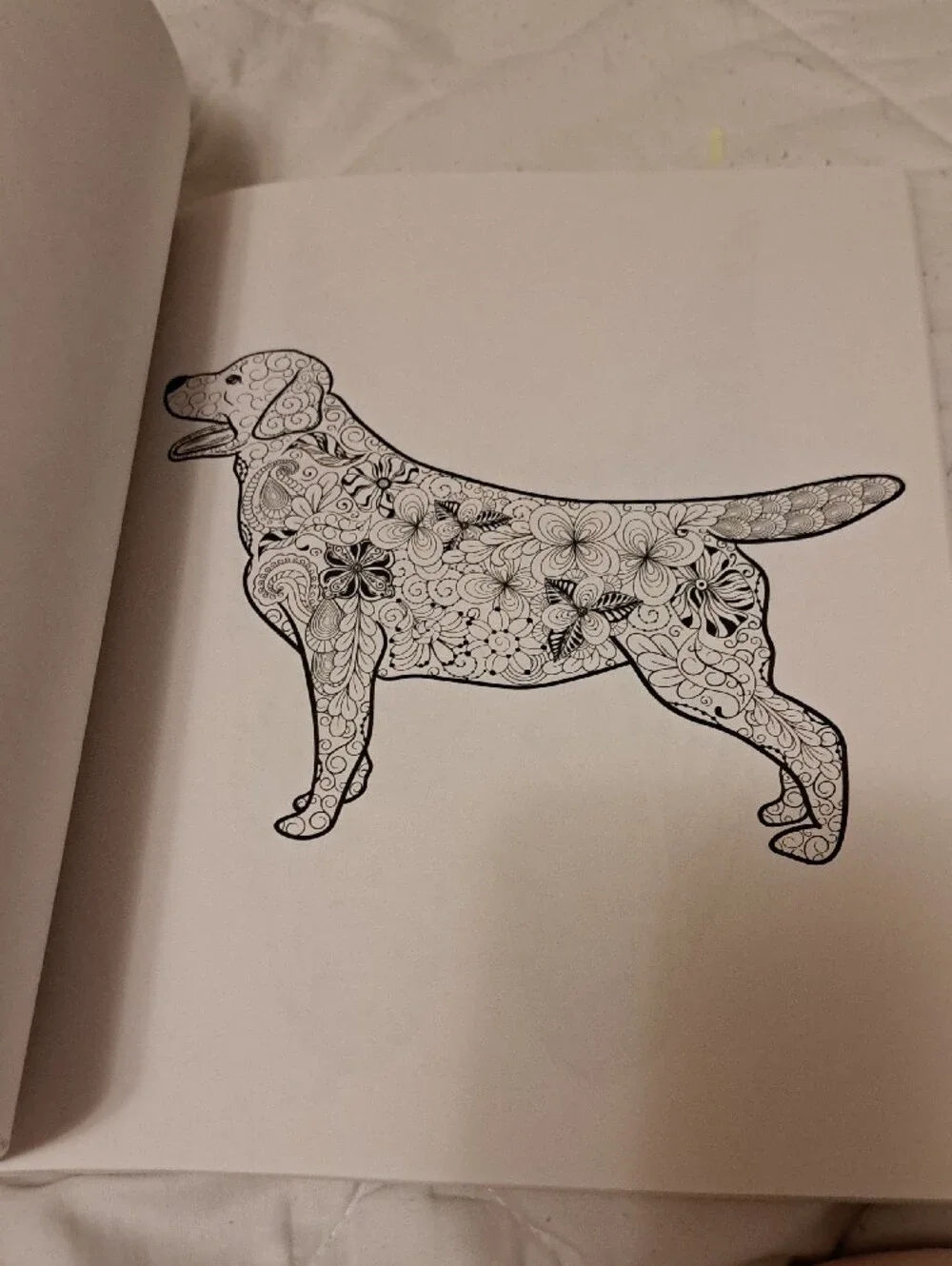 Colorama Delightful Dogs Coloring Book by Bullhead – Multicolor